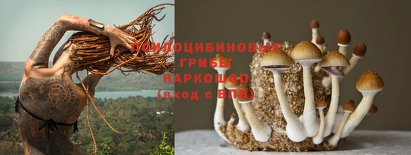 гидра Гусиноозёрск