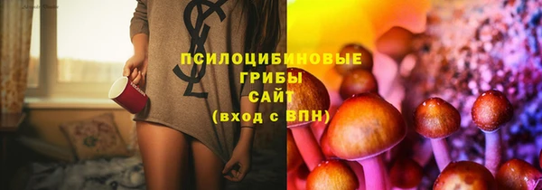 круглые Гусев