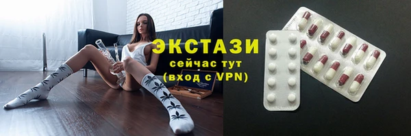 круглые Гусев