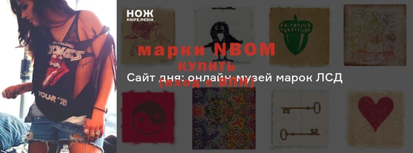 гидра Гусиноозёрск