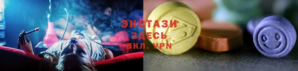 гидра Гусиноозёрск