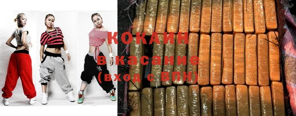 гидра Гусиноозёрск