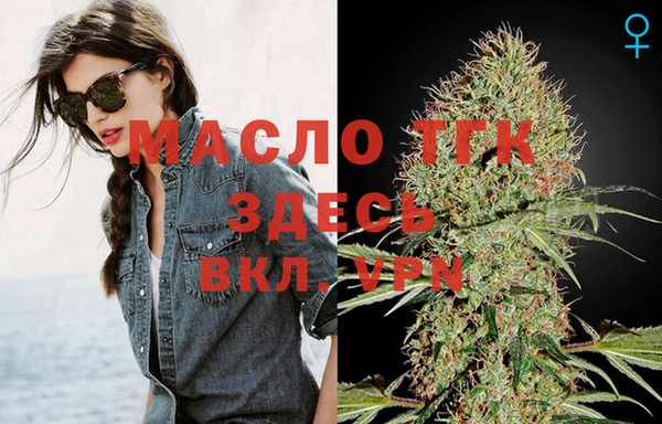 круглые Гусев