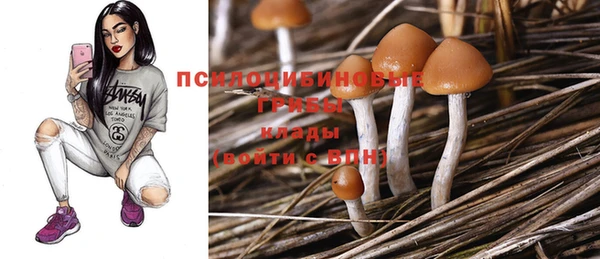 кокаин Гусь-Хрустальный