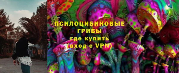 гидра Гусиноозёрск
