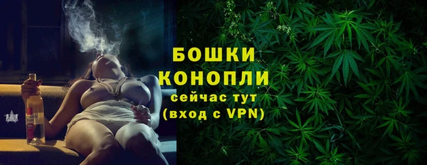 круглые Гусев