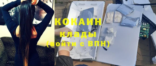 круглые Гусев